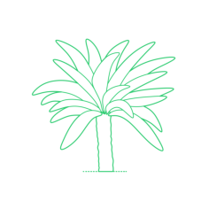 Plants Cycads Emperor Sago Vinyl Svg File, Free Vectors File